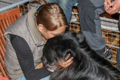 FG-JollenkreuzerOpen_2012_438