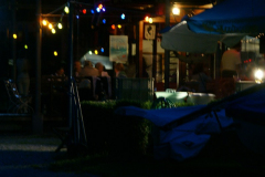 SONY DSC