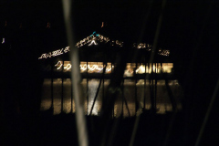 SONY DSC